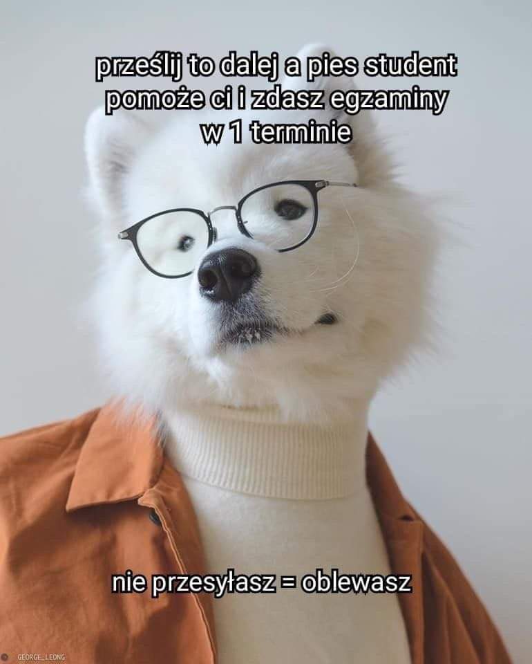 vse_karvem's tweet image. Dopomóżcie mi przed jutrzejszym kolosem, w was ostatnia nadzieja #studia2023