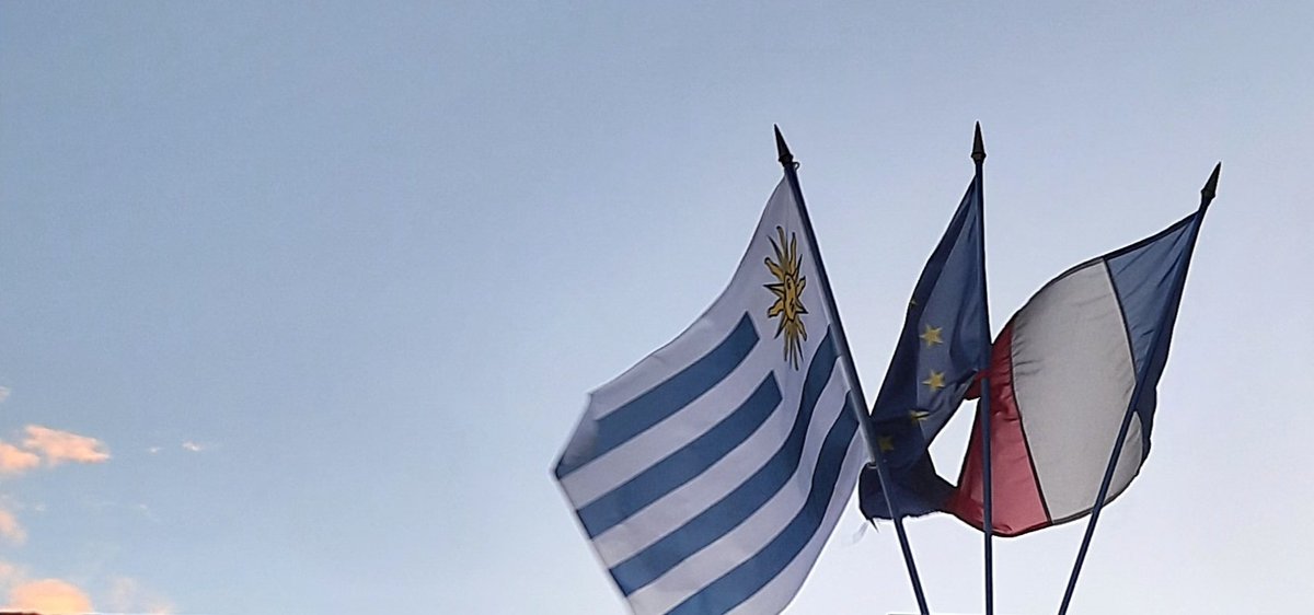 Clg_Voltaire's tweet photo. Le drapeau uruguayen flotte désormais sur le parvis du @clg_voltaire ! Le collège porte fièrement les couleurs de l'Uruguay pour la Coupe de rugby des collèges des @DeuxSevres @DSDEN79 https://t.co/9LLHjA6KOW