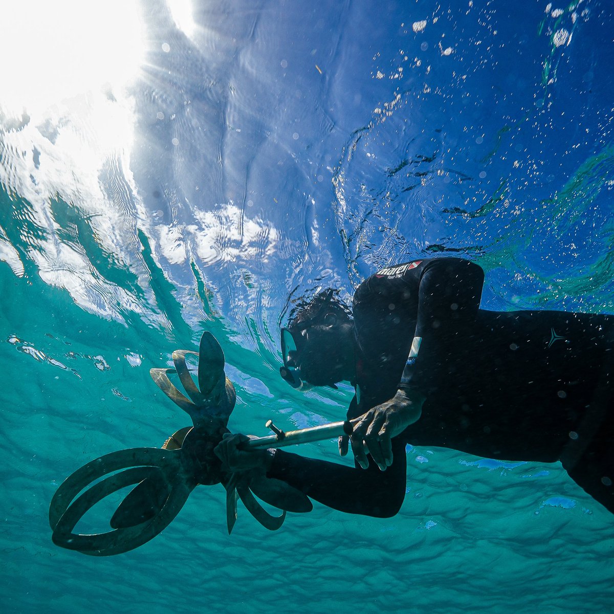 Counting Coral tweet media
