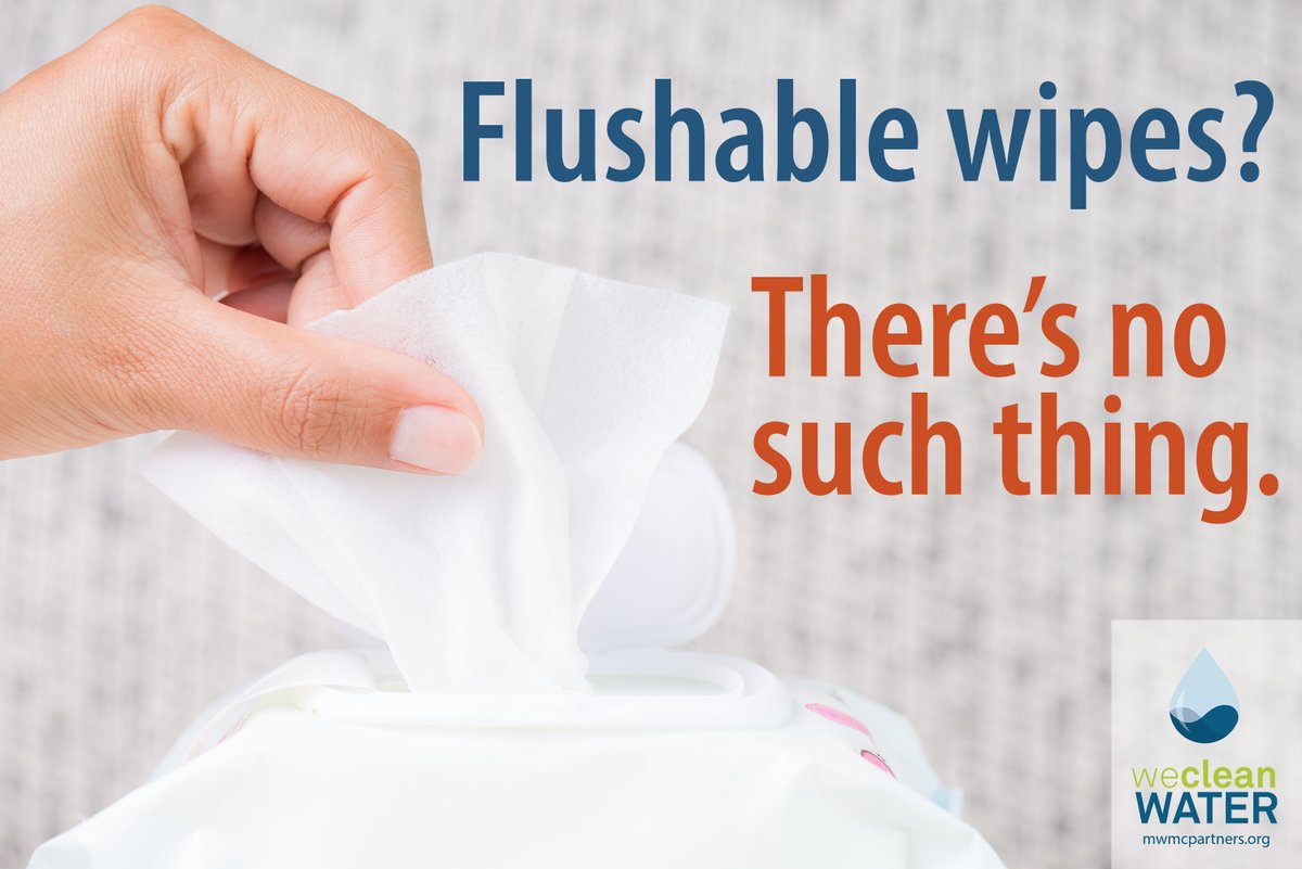 Wipes marketed as 'flushable' really are not. They don't break down in water the way toilet paper does, and they can clog drains, septic systems, and wastewater infrastructure. Don't flush wipes; throw them away!

#wecleanwater #flushablewipes #eugeneoregon #springfieldoregon