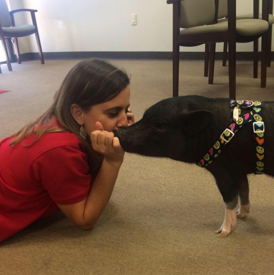 SunnyShieldsSF's tweet photo. Getting a smooch from my #MondayMotivation! I love you, Olive! 🐷💞#OliveThePetPig #SunnyShieldsStateFarm https://t.co/WFaN55JJWM
