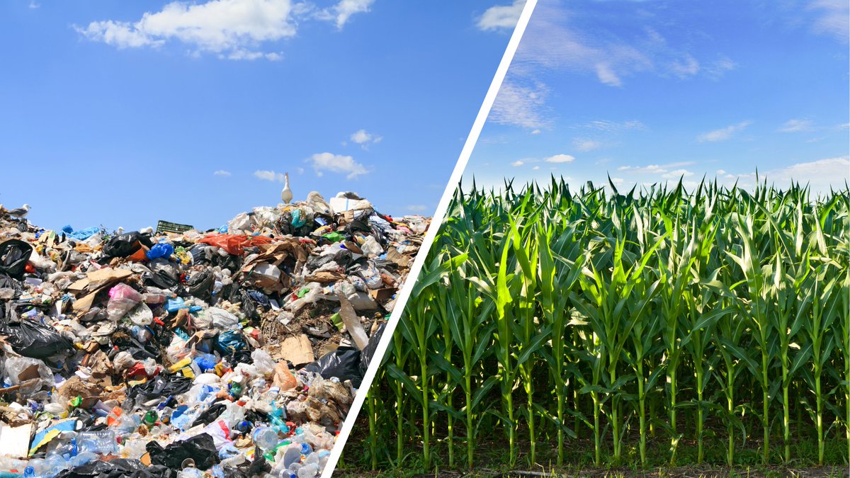 becompostable's tweet image. #Composting has the power to take food waste and turn it into fuel for the soil - adding nutrients and sequestering carbon, making for even more delicious crops!

#sustainability #compostablepackaging #foodwaste #healthysoil #reducewaste #dirtdorks #dirtnerd