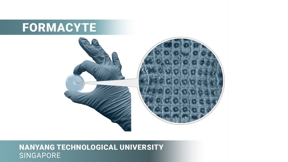 PrototypesforH's tweet image. FormaCyte’s implant offers optimum blood glucose control by providing sustainable insulin delivery without the need for toxic immunosuppressants. The design also improves oxygen access to cells by manipulating their spatial arrangement.

 #prototypesforhumanity
 #impactsolutions