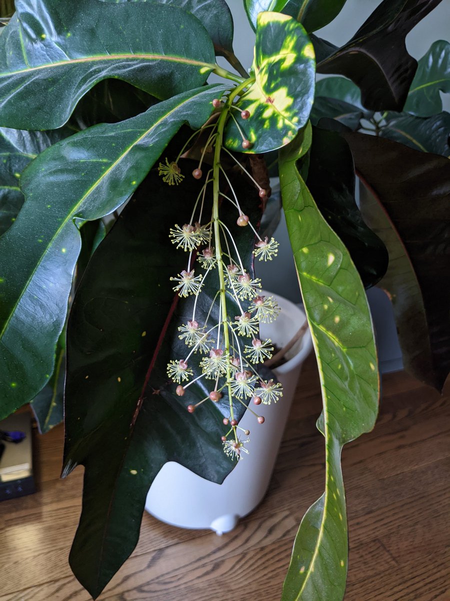 Katherine Fraser tweet media