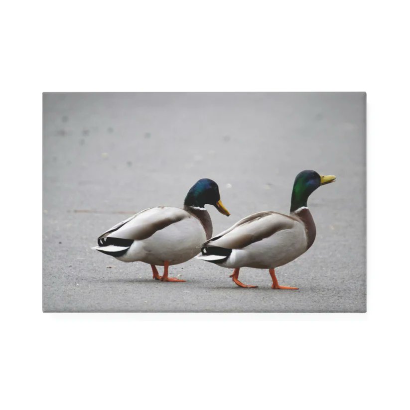 blproyalprints.myshopify.com/products/malla… #BLPRoyalprints