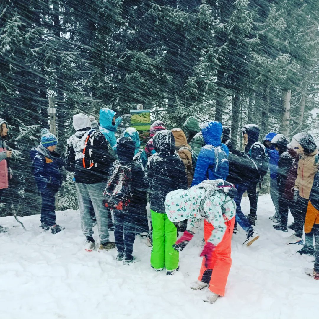 CLGJFerry73's tweet photo. Qui a dit qu'il n'y avait pas de #neige ??
La session de #ski de fond transformée en #randonnée,  mais bientôt sur des skis ! 😆⛷️❄️☃️
Les 6emes à la #Feclaz avec @SavoieDepart https://t.co/aY5qBMb5jP