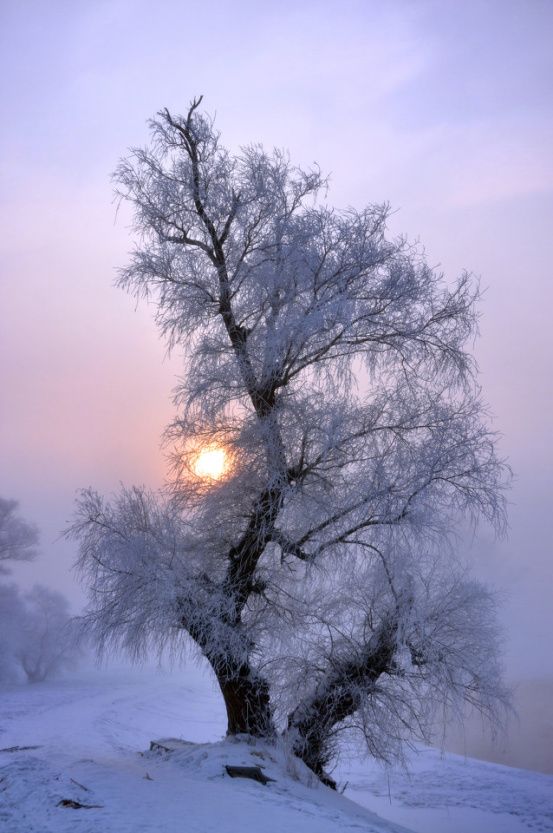 Carla_Baron's tweet photo. It's Monday - 

NEW #podcast episode for #TheMissing is now available! #LaurenSmithFields  🎙️👁️❄️

Booking #psychic sessions for today into evening. 

Order here - >  https://t.co/0bx5mrehRD (4 readings available) https://t.co/Ltz5zqDJC9