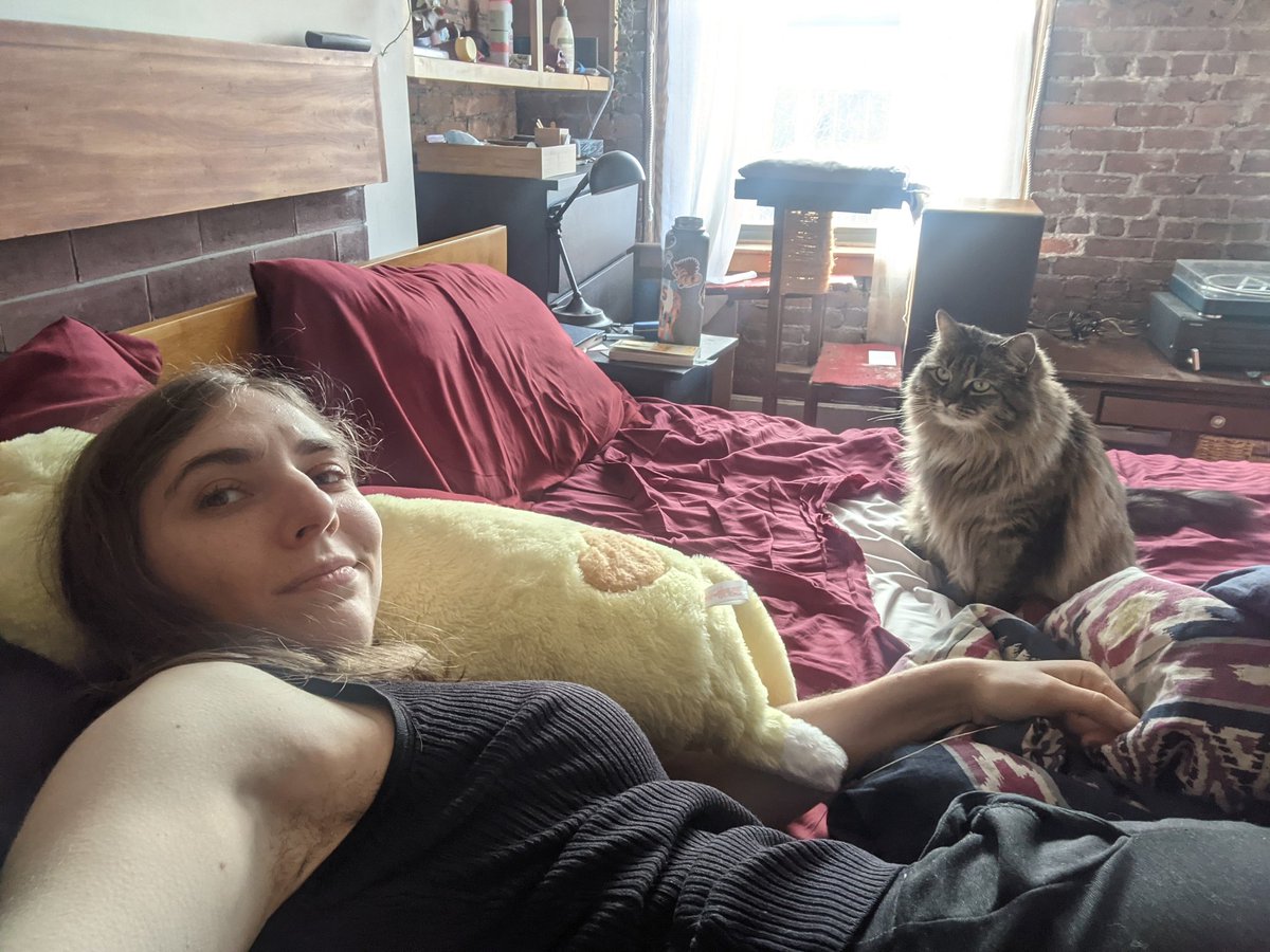 Amy the Amazonian on Twitter: "I'm back in bed, and Scraps decided to