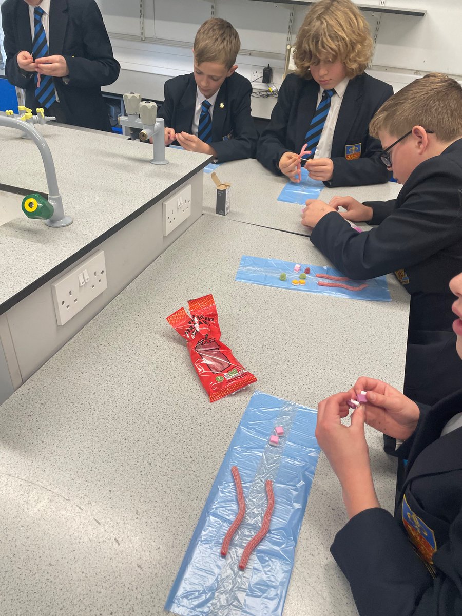 LRGSScienceClub tweet picture