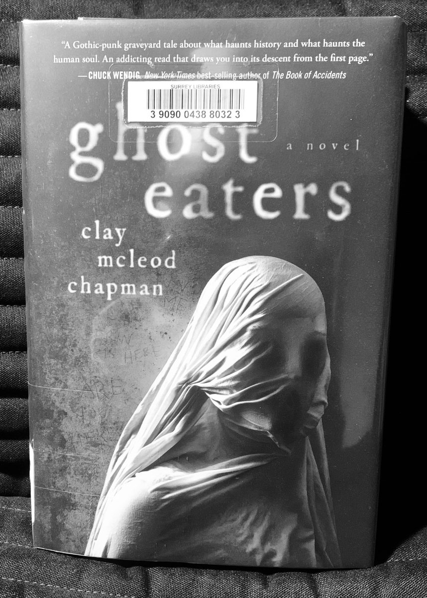 Diving in. Really enjoyed @claymcleod’s prior two novels. Ready for a 3-for-3!

#books #horror #claymcleodchapman