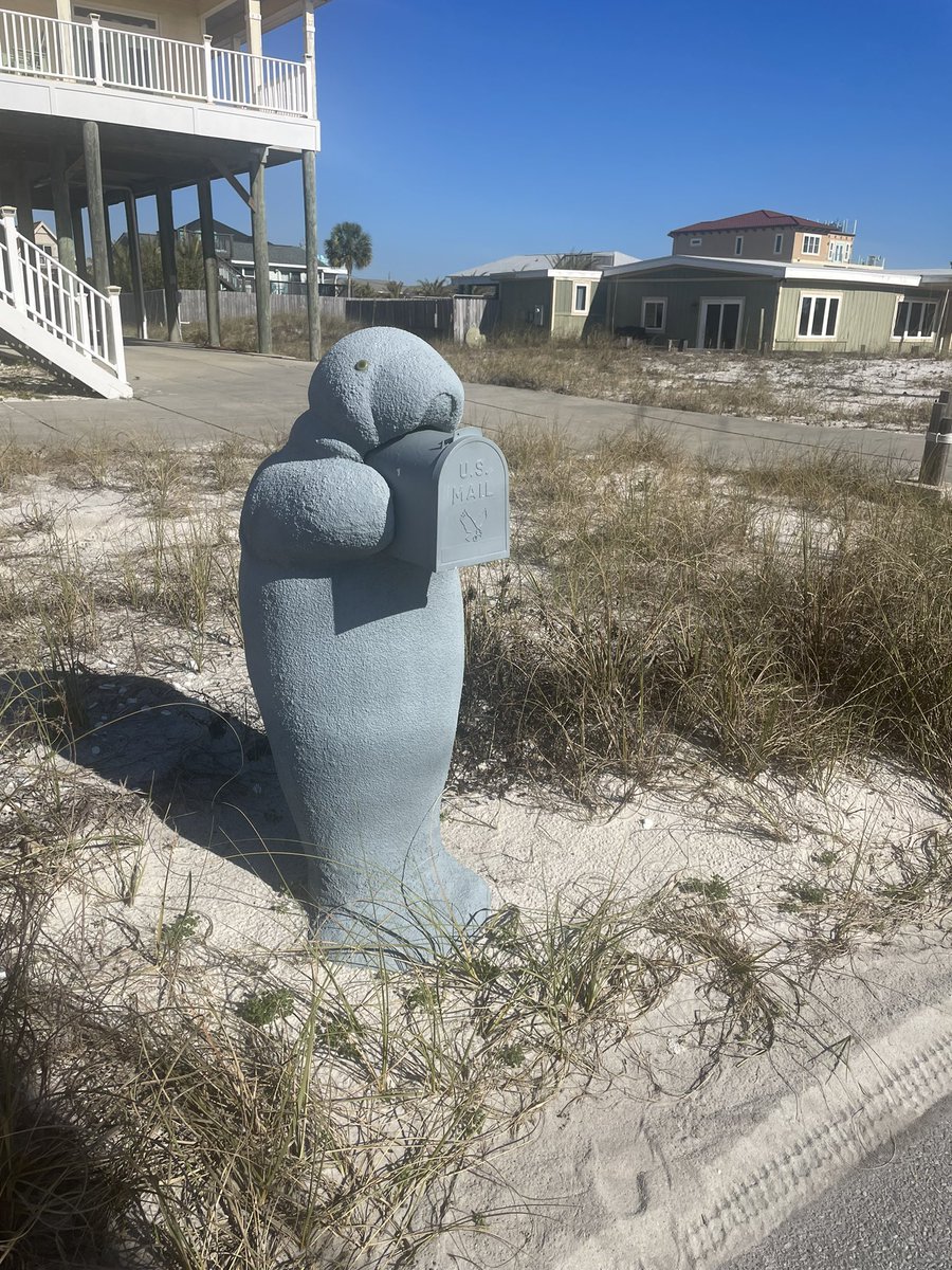 deffears's tweet photo. @stoolpresidente mailbox for the new house… #manatees https://t.co/rk7WCJpmMZ