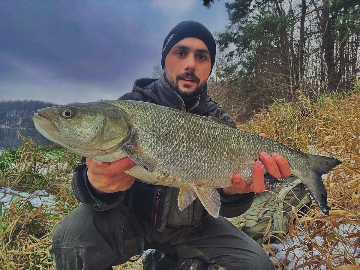 Pauliusarakaus1's tweet photo. #fishing #fishinglife #aspius #xesta #shimano #DUO #zibbait https://t.co/pO65YVMKBJ