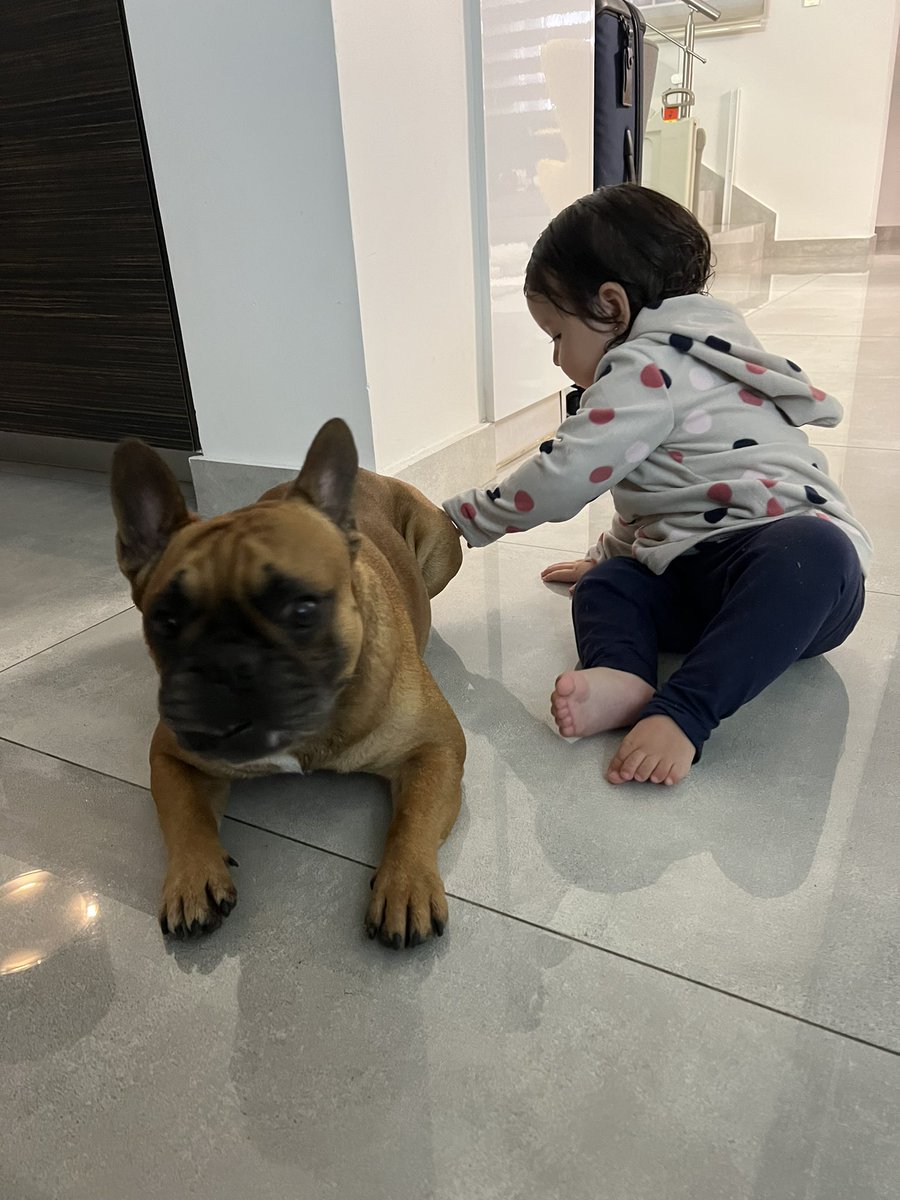 jorgeamando's tweet photo. Mi hermana menor junto a su primo perruno 😍 https://t.co/2TxpCrvR2T