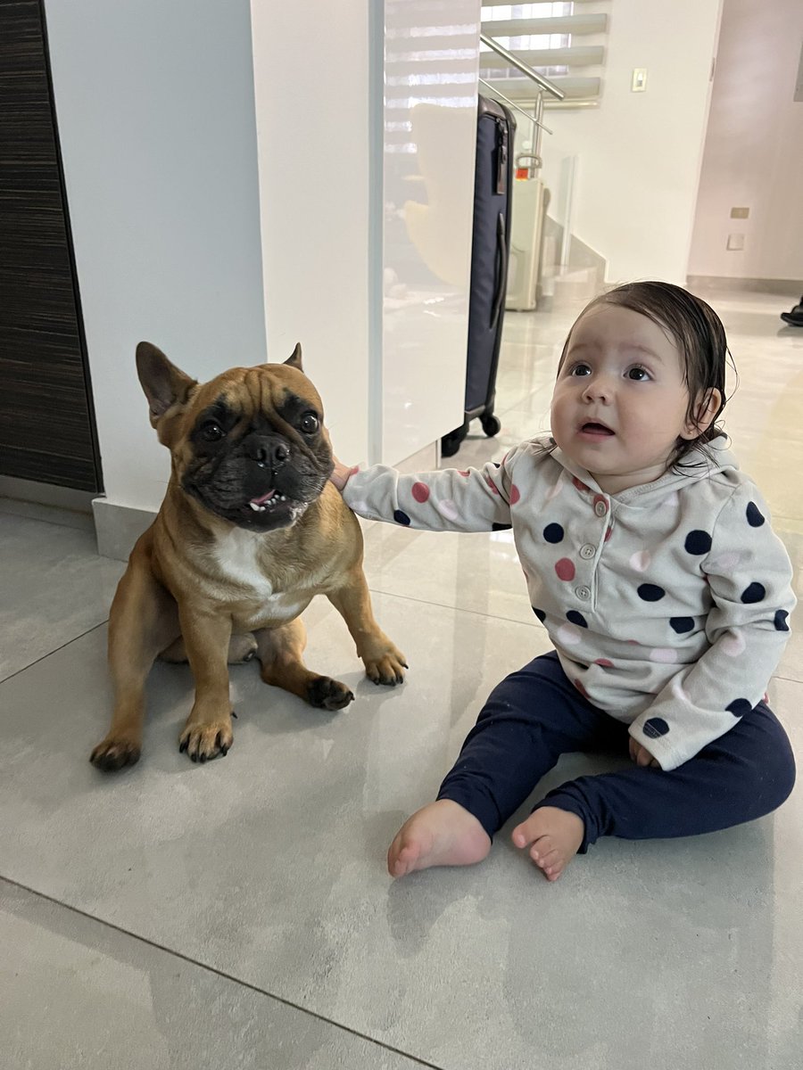 jorgeamando's tweet photo. Mi hermana menor junto a su primo perruno 😍 https://t.co/2TxpCrvR2T