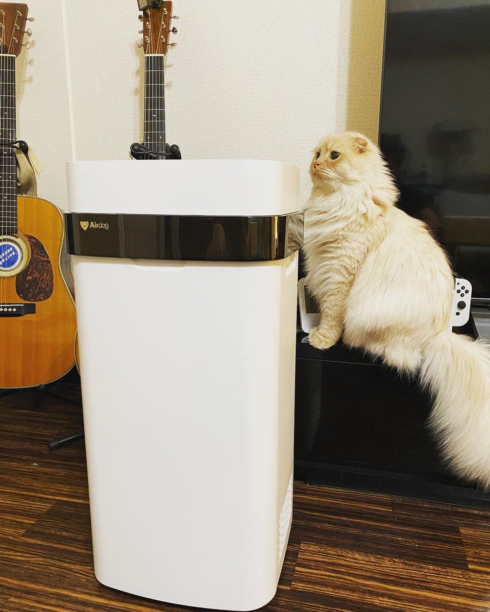 KronosAir's tweet photo. With the air quality getting worse by the day, it's time to invest in an air purifier. Don't wait until you can smell the pollution - take a breath of fresh air and get one now! Your loved ones will thank you! #breatheeasy #kronosair #family #cats 

Link in bio. https://t.co/fxSYmlPhV8