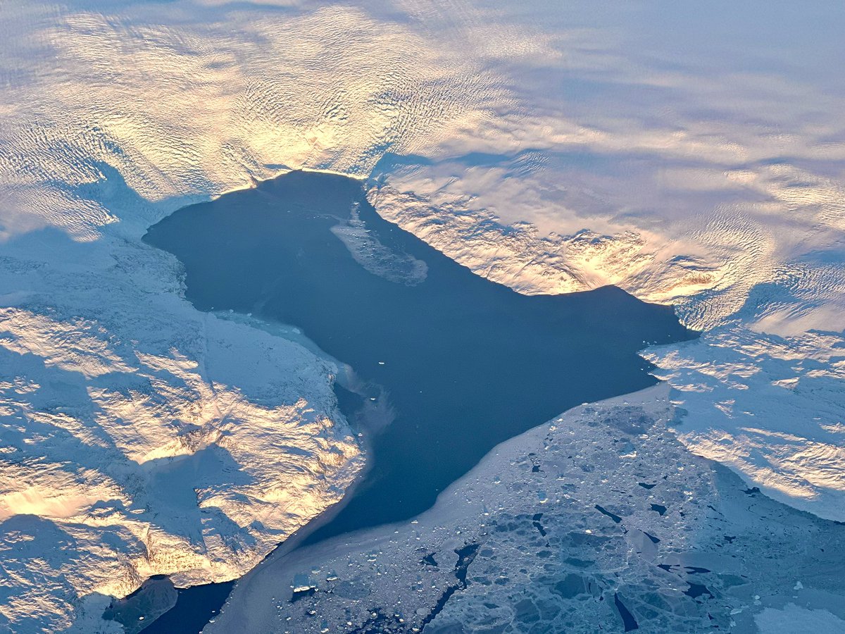 PFTO LABS- MINTING NOW tweet media