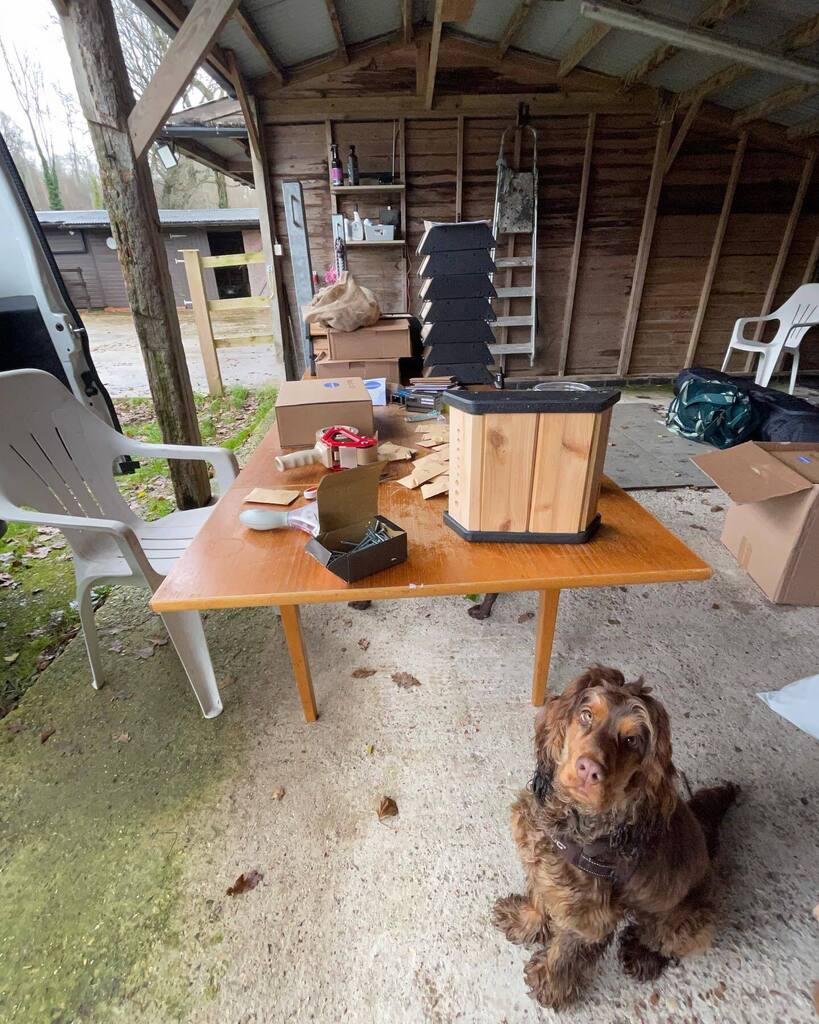 Beemmunity tweet media