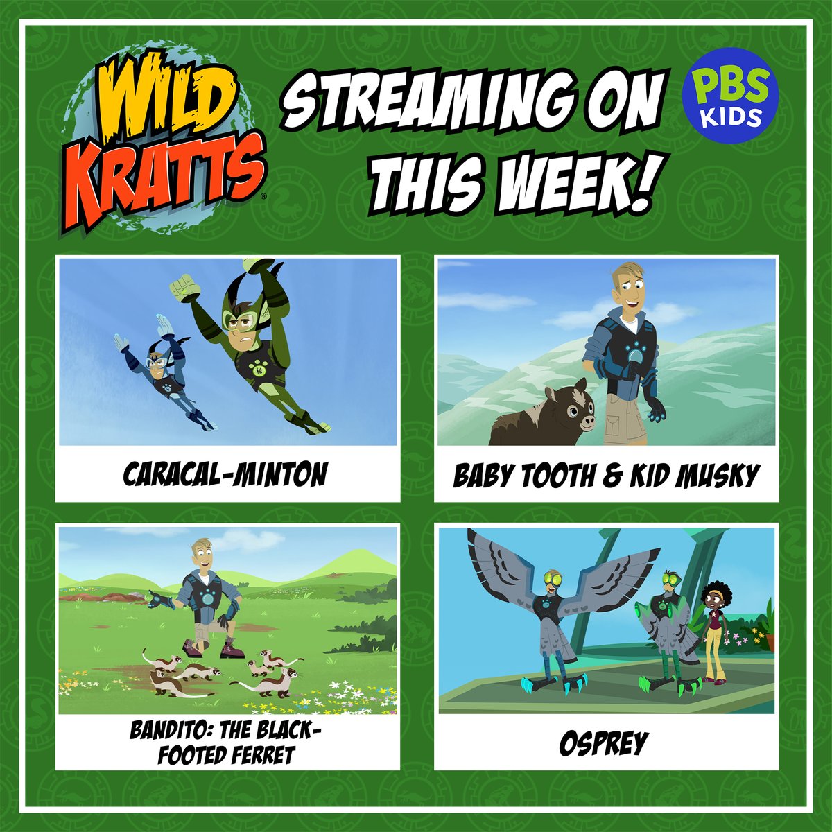 Wild Kratts on Twitter "Wild Kratts Episodes Streaming on the PBSKIDS