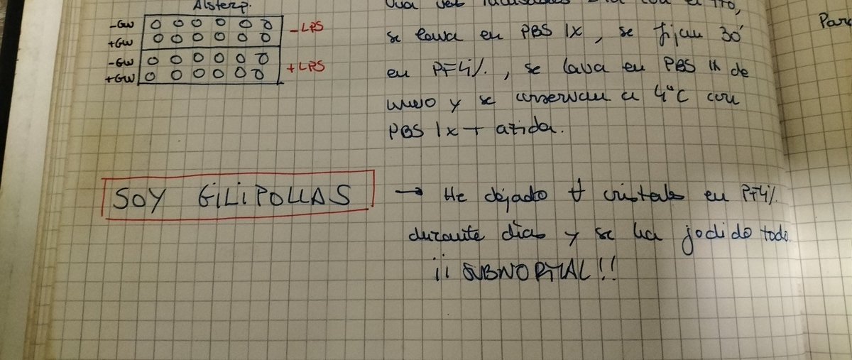 DrAstrocyte's tweet photo. Hoy me he puesto a buscar unos datos en mis cuadernos de laboratorio de hace 13 años. He visto cosas que jamás creeríais.
Algún día, cuándo tenga tiempo, publicaré esos cuadernos. Son una fuente inagotable de conocimiento científico. https://t.co/ftTungwKZT