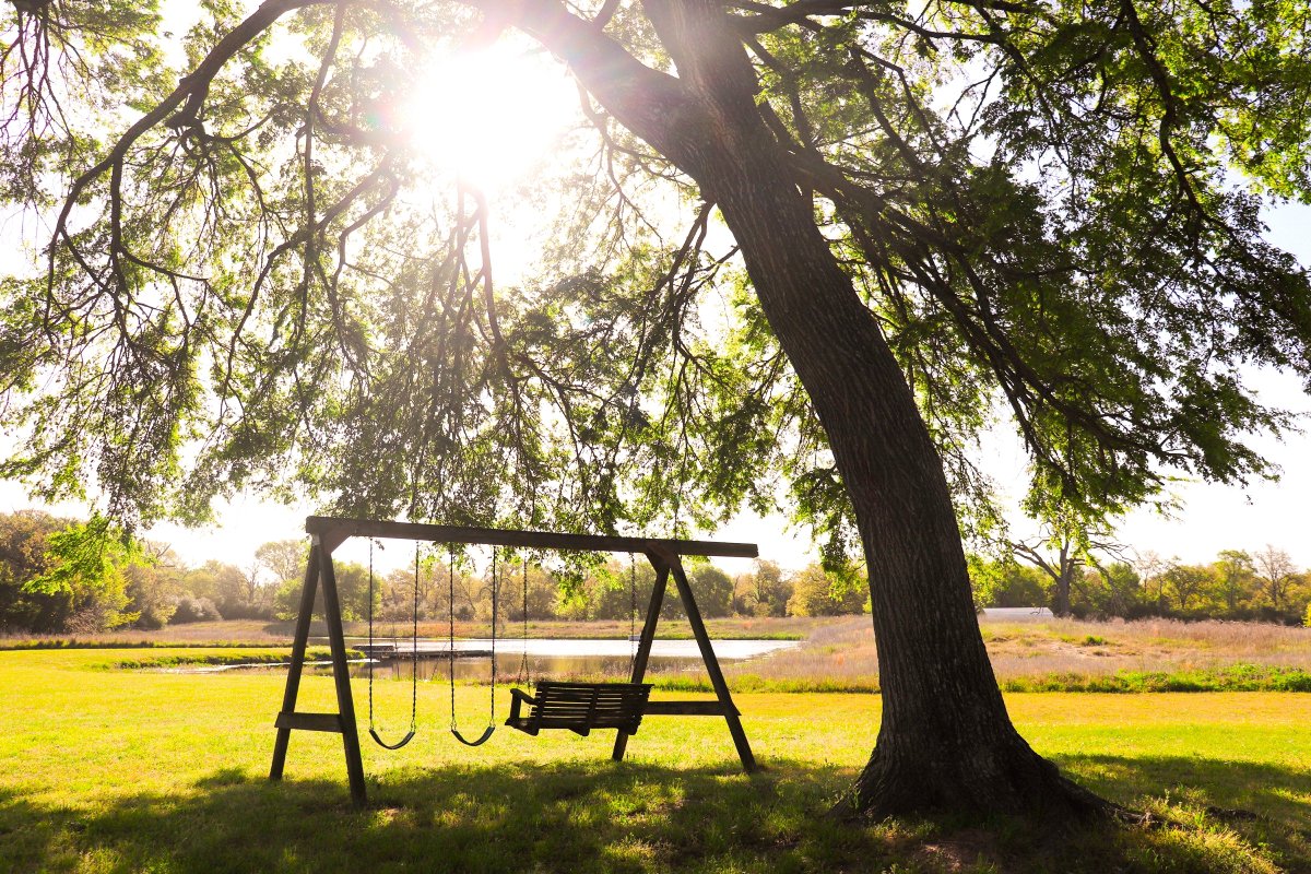 AVRaggierentals's tweet photo. Planning ahead? 
Book the Loft at Lucky Eagle for spring break! Enjoy time away relaxing by the fire and watching the sunset on the lake. #springbreak23 #SpringBreak  #TAMU #spring23
https://t.co/fbv6IfIFsd https://t.co/NGYw6dPTum