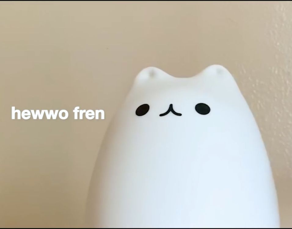 ( enby pal aquí también, felis 🤝