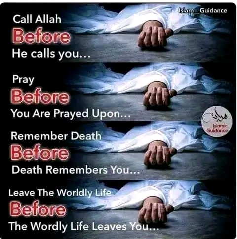 fata_ibrahim's tweet photo. https://t.co/k0WQXpGnbi