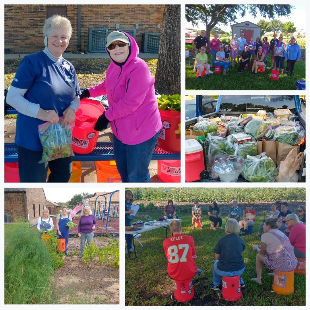CCALewisville's tweet photo. Thank you to Flower Mound First Baptist's Community Garden for donating 3,571 pounds of fresh produce to our food pantry! We appreciate your support and for making a difference through your compassion and generosity. ❤️

#ccahelps #support #compassion #donation #fmfb #garden https://t.co/QEDIe0WNhi