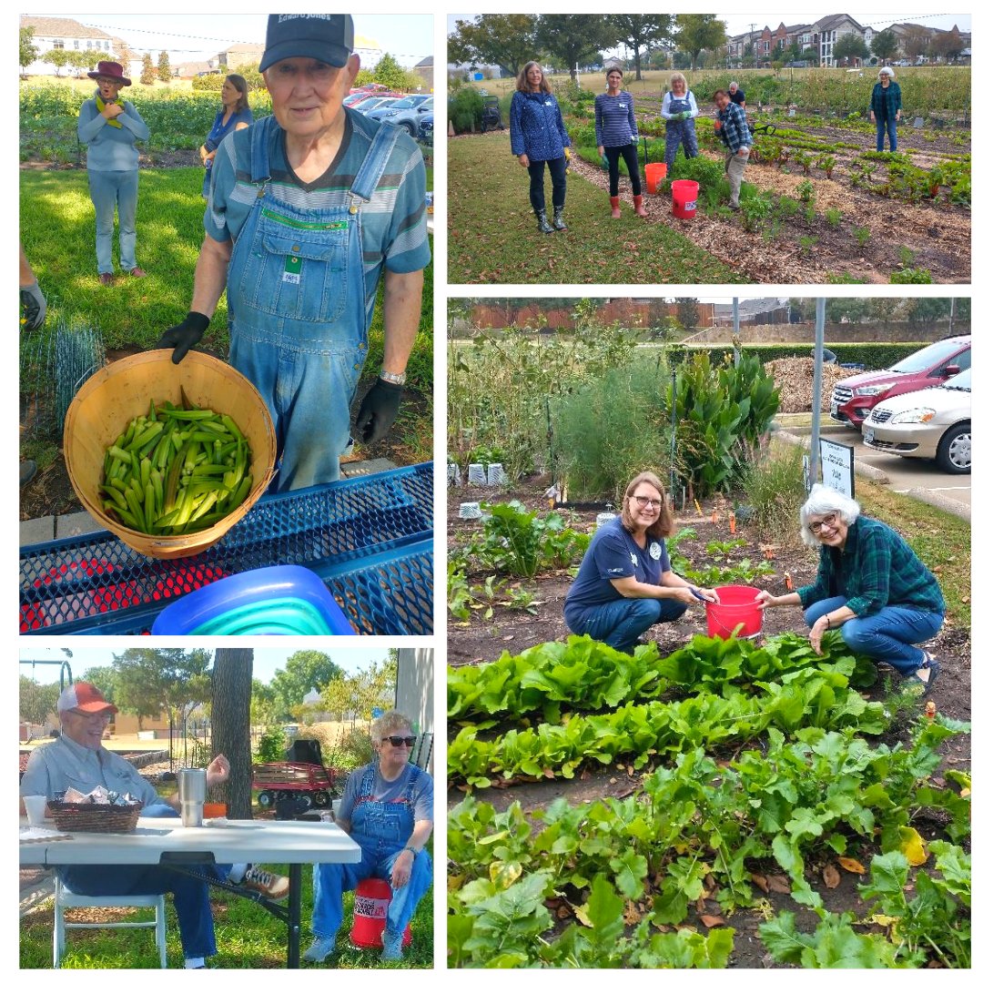 CCALewisville's tweet photo. Thank you to Flower Mound First Baptist's Community Garden for donating 3,571 pounds of fresh produce to our food pantry! We appreciate your support and for making a difference through your compassion and generosity. ❤️

#ccahelps #support #compassion #donation #fmfb #garden https://t.co/QEDIe0WNhi