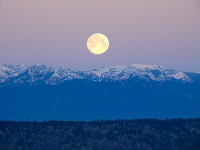 Ork3Zx's tweet image. Photo By John Peters | Unsplash - via @Crowdfire  
 #grapesculpture #danceafro #outdoors #exoticpoledance #bitcoin