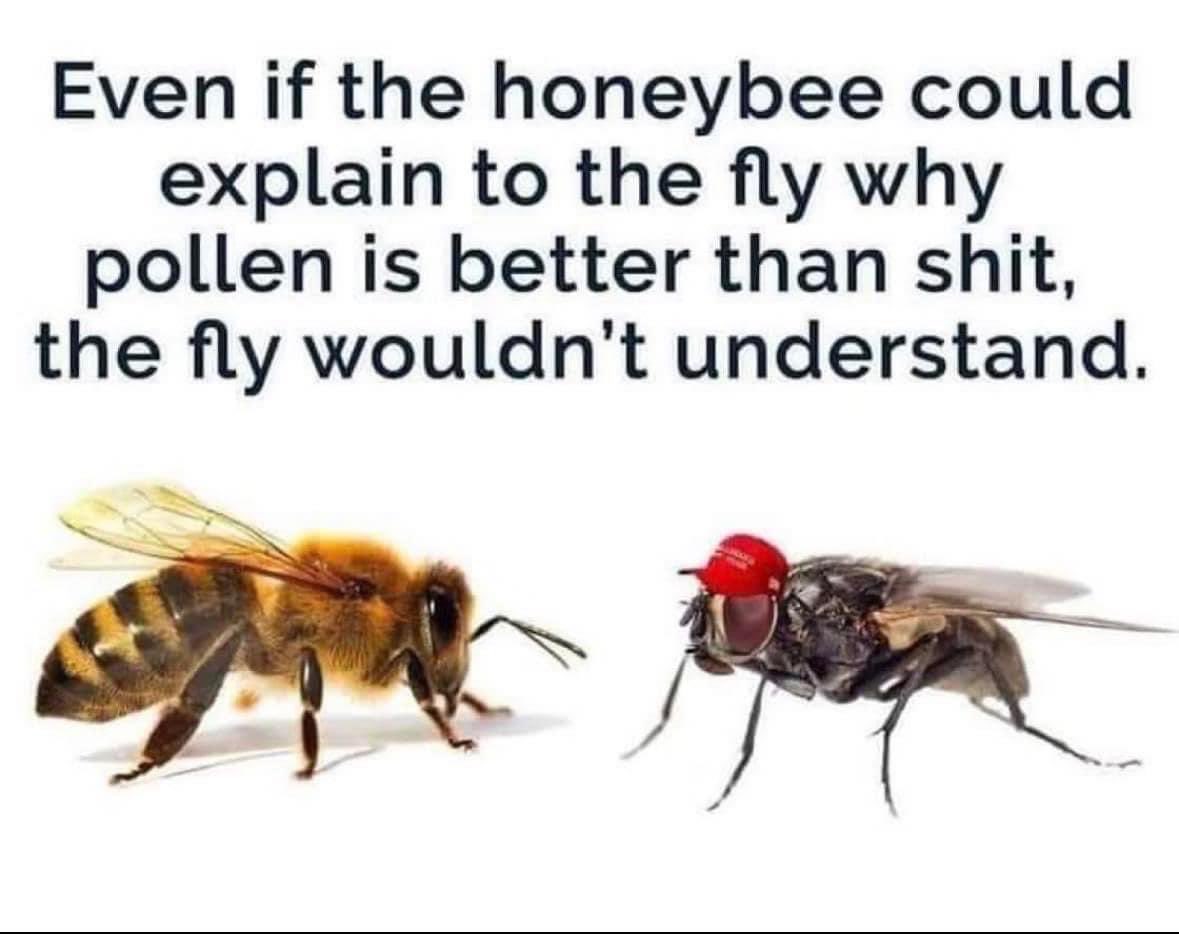 goRubenRuben's tweet photo. Oralé the truth will set you free Republicans #Red118th https://t.co/vmwR1JYbV4
