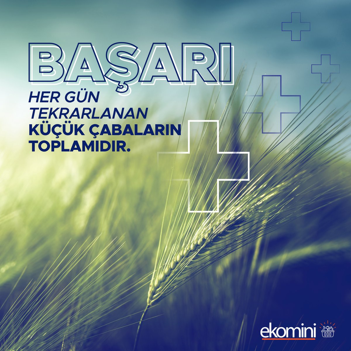 Başarı, her gün tekrarlanan küçük çabaların toplamıdır.

#Ekomini
