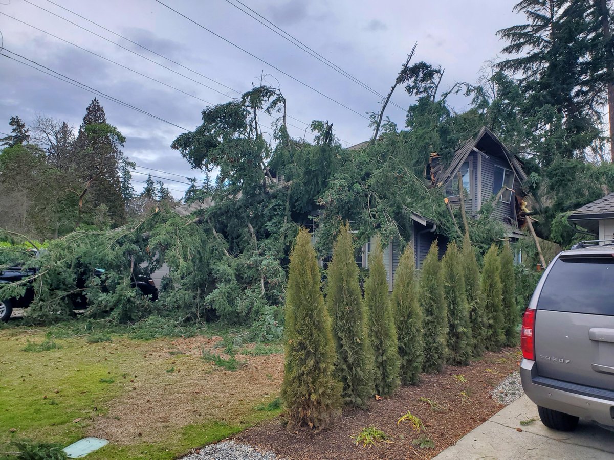 Newcastle Wa PD tweet media