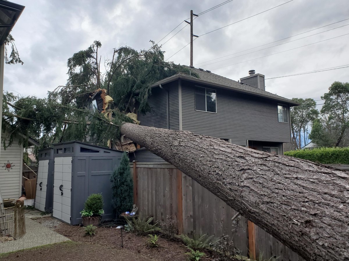 Newcastle Wa PD tweet media