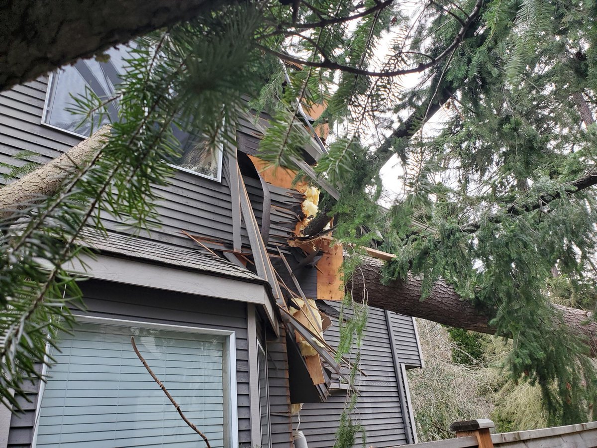 Newcastle Wa PD tweet media