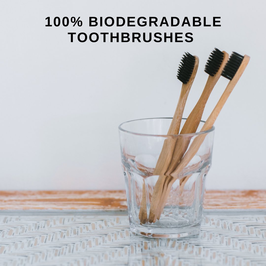 Just pull out the bristles, and throw it in the compost. It's That Easy!

#hothomey #homeware #homeandkitchen #sustainable #reusable #kitchenessential #reusbalecloth  #redureuserecycle #eco  #ecoresponsable #compostable  #yyc  #kitchen #bamboo #natural #bambootoothbrush