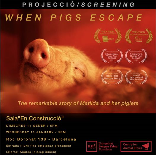 🔴 | Proyecciones UPF-CAE:

Este miércoles 11 de enero, a las 17h, el UPF-CAE proyectará el documental When Pigs Escape (@WhenPigsEscape), de Jusep Moreno, en la Sala "En Construcció" del Campus Poblenou.