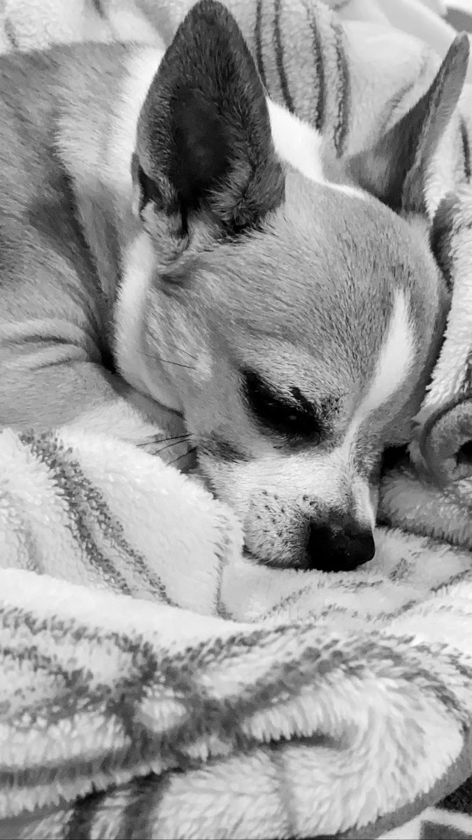 issababass's tweet photo. te voy a extrañar siempre mi yuyin, gracias por todo, te amo… </3 https://t.co/pZZZmla76V