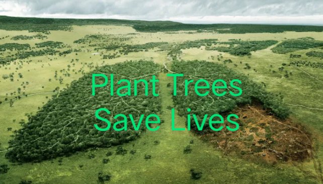 psdf_pak's tweet photo. STOP DEFORESTATION ! 
🌲We Lose Around 10 Million Hectares of Forest Every Single Year. Deforestation Contributes about 4.8 Billion Tonnes of Carbon Dioxide a Year. Change starts with you, Plant trees and save lives. 

#Afforestation 
#RestoreForest  
#BeApartOfSolution https://t.co/ADi64BpIya
