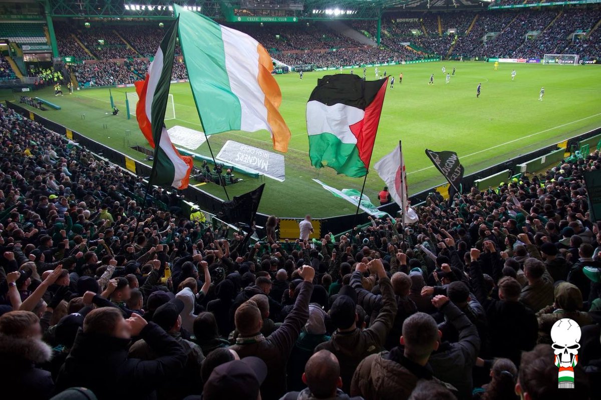 North Curve Celtic tweet media
