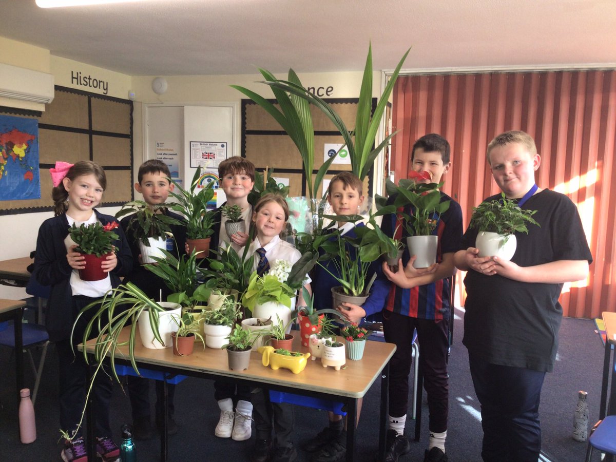 ShoresideYear3's tweet photo. @Shoreside1234 school councillors have been busy organising our huge collection of indoor plants. Tomorrow, the entire school council team will be distributing them around school. #positivewellbeing #bringtheoutsidein
@MrPowerREMAT 
@MissKnipeREMAT 
@RainbowEduMAT https://t.co/PplOezCIKJ