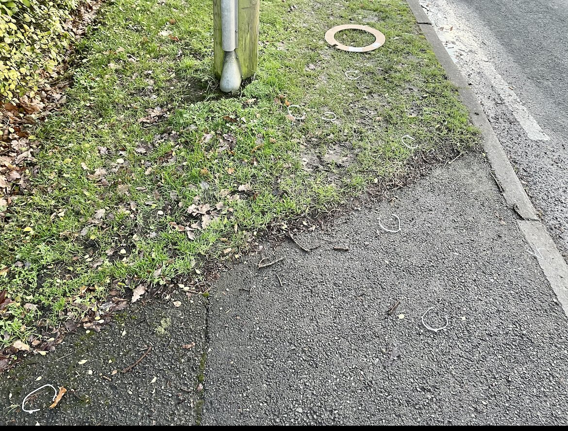 David Evans tweet media