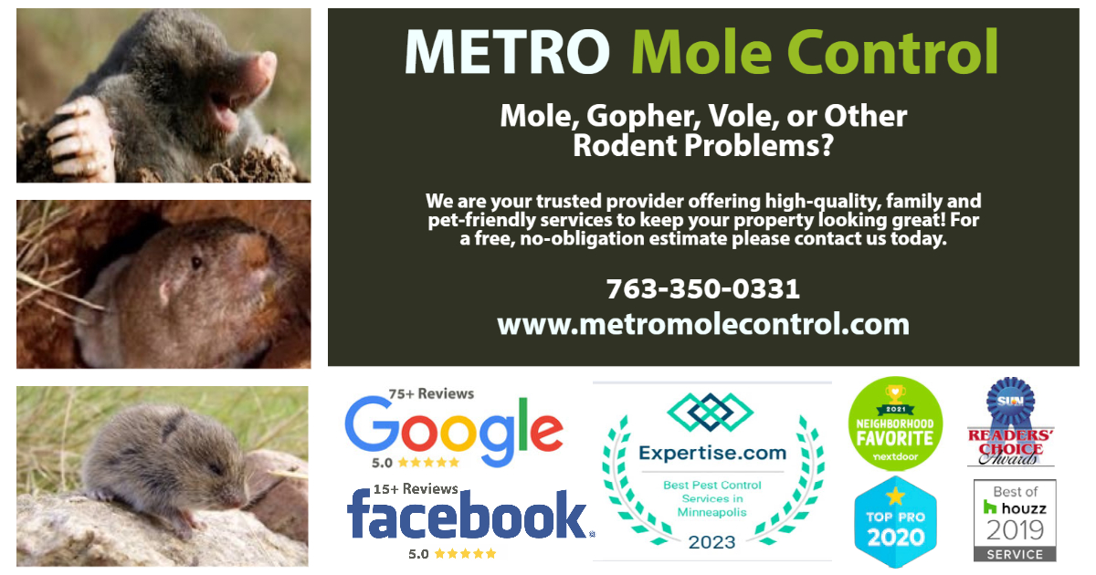 Learn more about Metro Mole Control by visiting our website at metromolecontrol.com. Join us on Instagram at instagram.com/metromolecontr… Follow us on Facebook at facebook.com/metromolecontr… … #moles #gopher #voles #rodent #pestcontrol #minnesota #mnlocal #mnlocalbusiness