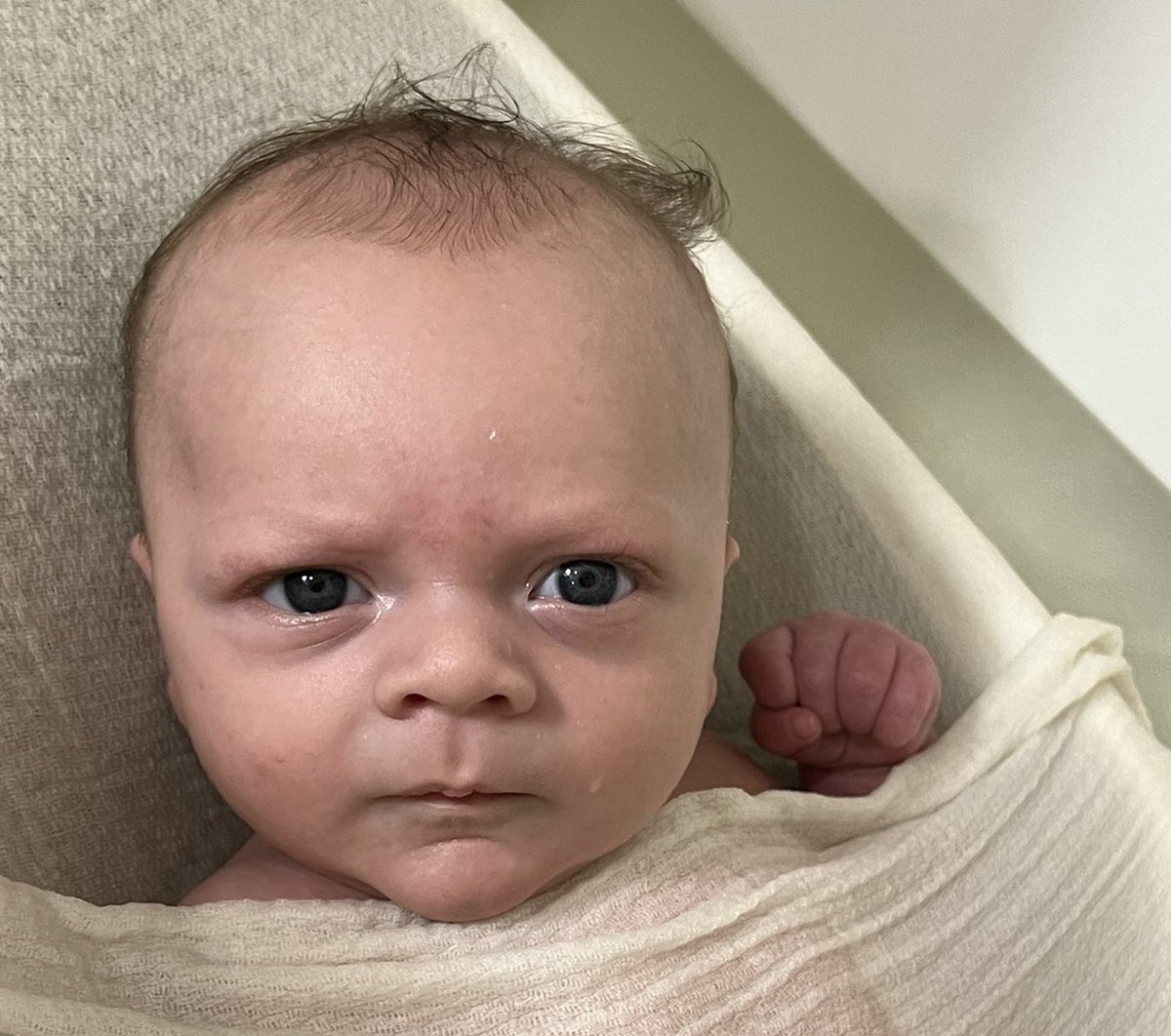 gracepaige_'s tweet photo. @banny_e are all the babies trying to fight? 😂 https://t.co/bGtwIFM6pT
