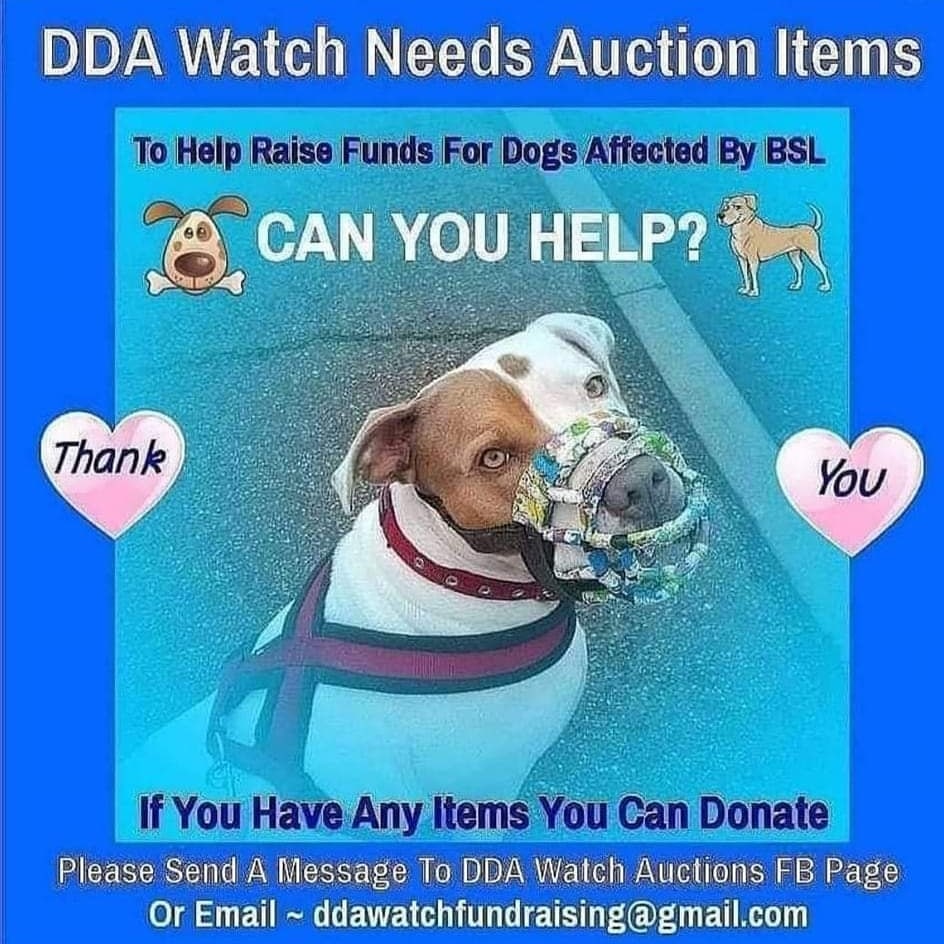 DDA Watch Auctions tweet media