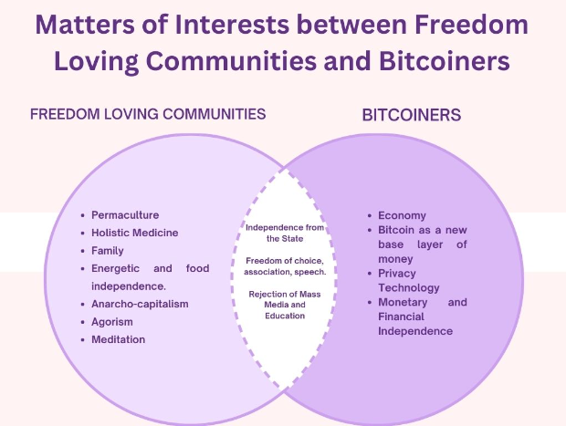 CepnikMaciej's tweet photo. My experience and thoughts from attending the Freedom Mariposa Festival. (November, Puerto Vallarta, Mex) 🇲🇽🦋

Explanation of the following diagram and more. 

Long Thread 🧵👇

#bitcoin #freedom #Mexico https://t.co/gIh9baR1GJ