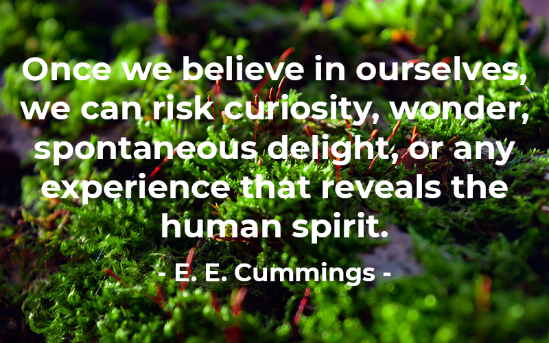 YMCA Blue Water Area tweet media