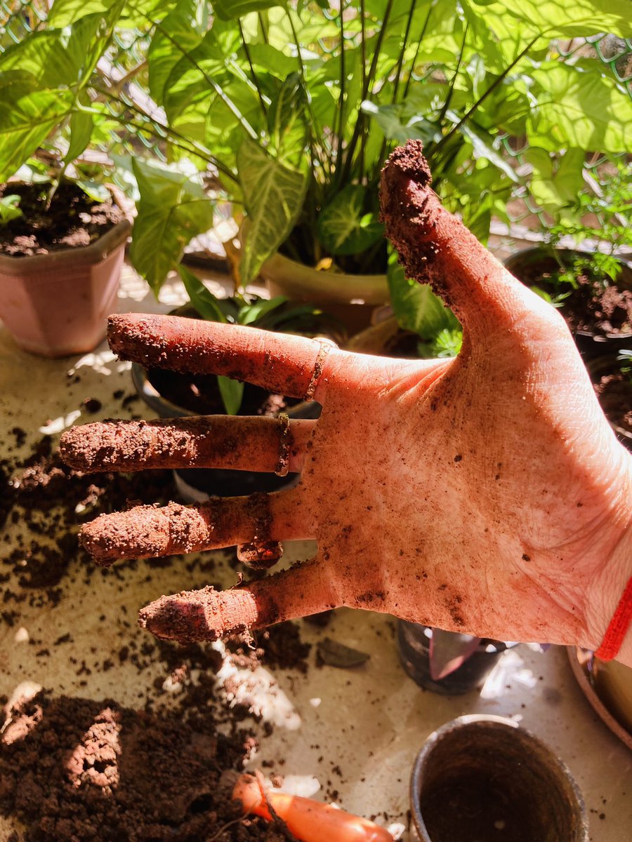 __Sonali___'s tweet photo. Soil for life 🍀
#SaveSoil https://t.co/p6eTQG3Wjm