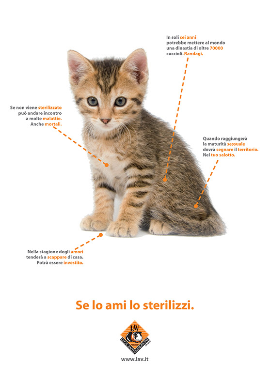 LAV Bari tweet media