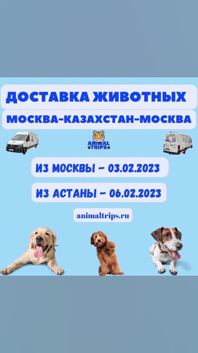 Үй жануарларын жеткізу Animal Trips 
———————————————————
Доставка животных Animal Trips

#Үйжануарларынжеткізу #Жануарлардыжеткізу #ДоставкаЖивотных #ПеревозкаЖивотных #Казахстан #Россия #Москва #Қазақстан #AnimalTrips #AnimalTrips_kz