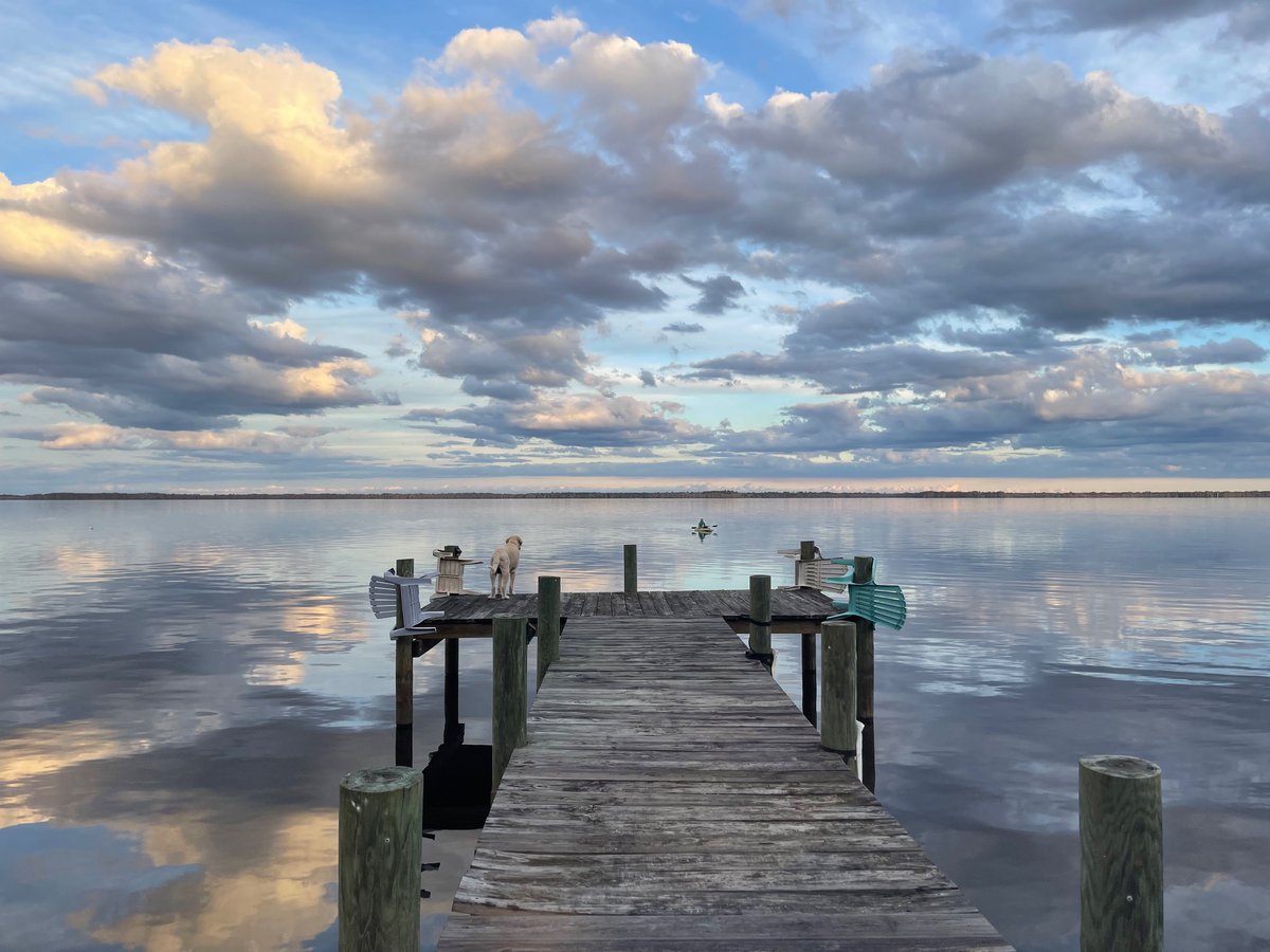 Alina Zare tweet media